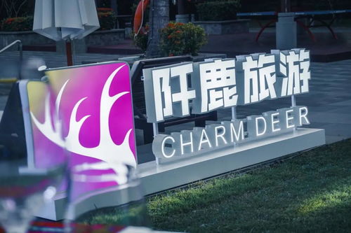 我柠檬了,这就是旅游公司的客户答谢旅行