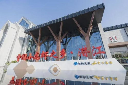 从 经停地 变成 目的地 潜江服务区超 city